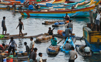 Time for Tamil parties across the Palk Strait to act