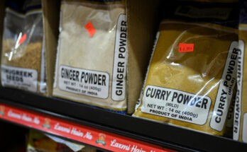 Man spends 57 days in jail after Indian spice mix mistaken for heroin