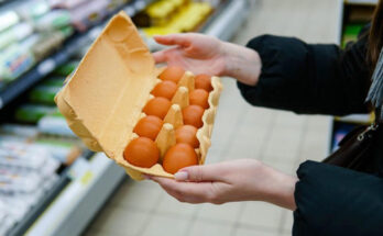 RSPCA issues alert to all supermarket shoppers buying eggs
