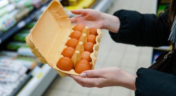 RSPCA issues alert to all supermarket shoppers buying eggs