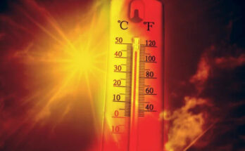 Spain heatwave linked to 213 deaths in three days as temperatures surge past 42C