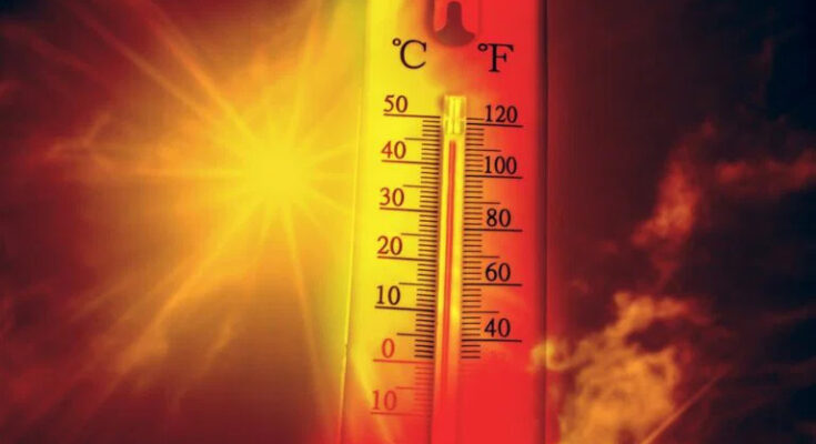 Spain heatwave linked to 213 deaths in three days as temperatures surge past 42C