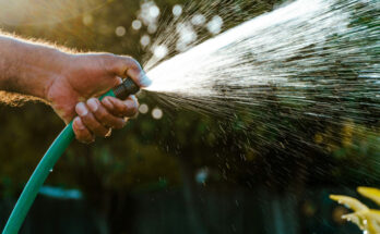 What to do if your neighbour is watering the garden during a hosepipe ban