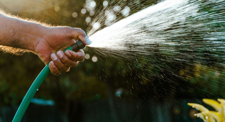 What to do if your neighbour is watering the garden during a hosepipe ban