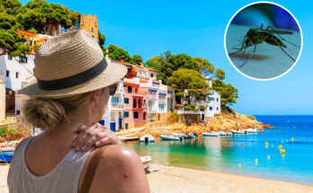 British tourists issued holiday warning as Spanish hotspots on red alert after virus outbreak