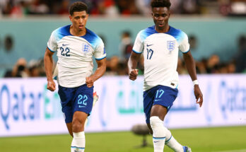Online racism against England stars 'doubled on World Cup match days and skyrocketed after Argentina loss'