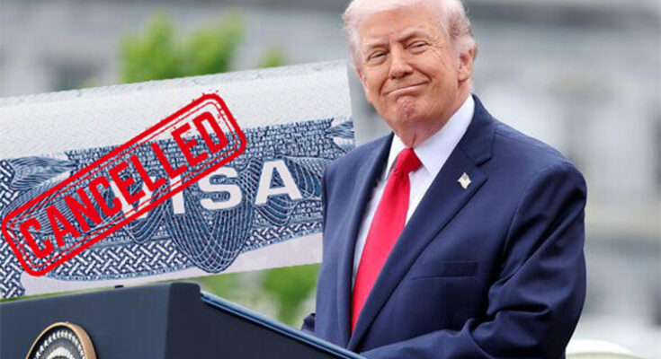US halts immigrant visa applications as it moves to stop people arriving who will need benefits