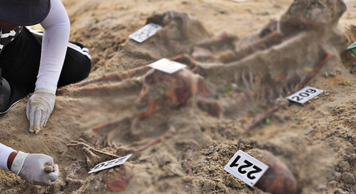 Australian Senator urges government to raise Chemmani mass gravesite bilaterally and at UNHRC
