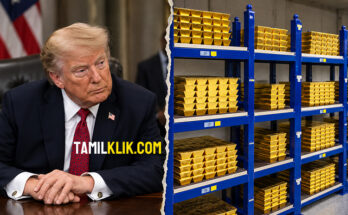 The Netherlands moves 86 tonnes of gold out of US as experts warn it is 'no longer safe' under Trump