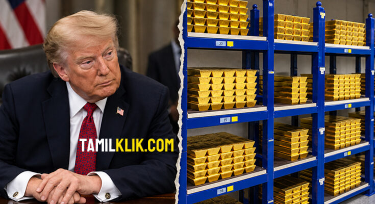 The Netherlands moves 86 tonnes of gold out of US as experts warn it is 'no longer safe' under Trump