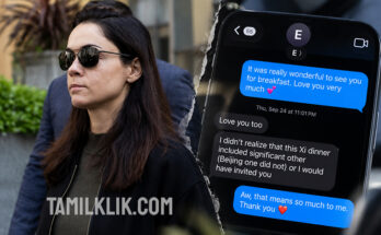 Elon Musk’s partner says he ended relationship with no warning