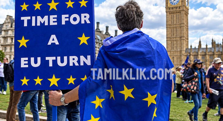 No 10 gathering evidence on public support for UK rejoining EU